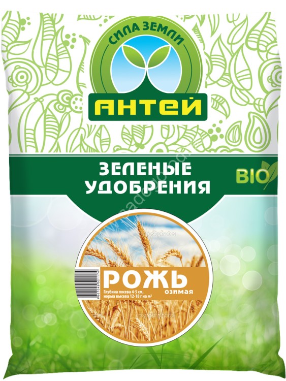 Рожь Озимая АНТ 500г/20шт цв/п (прозр) Рожь Озимая АНТ 500г/20шт цв/п (прозр)