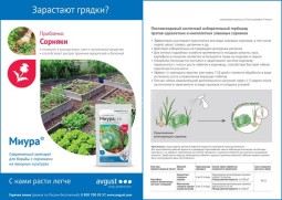 Миура Авг амп пак  4мл/200шт