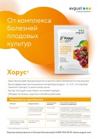 Хорус Авг пак 2г/200шт